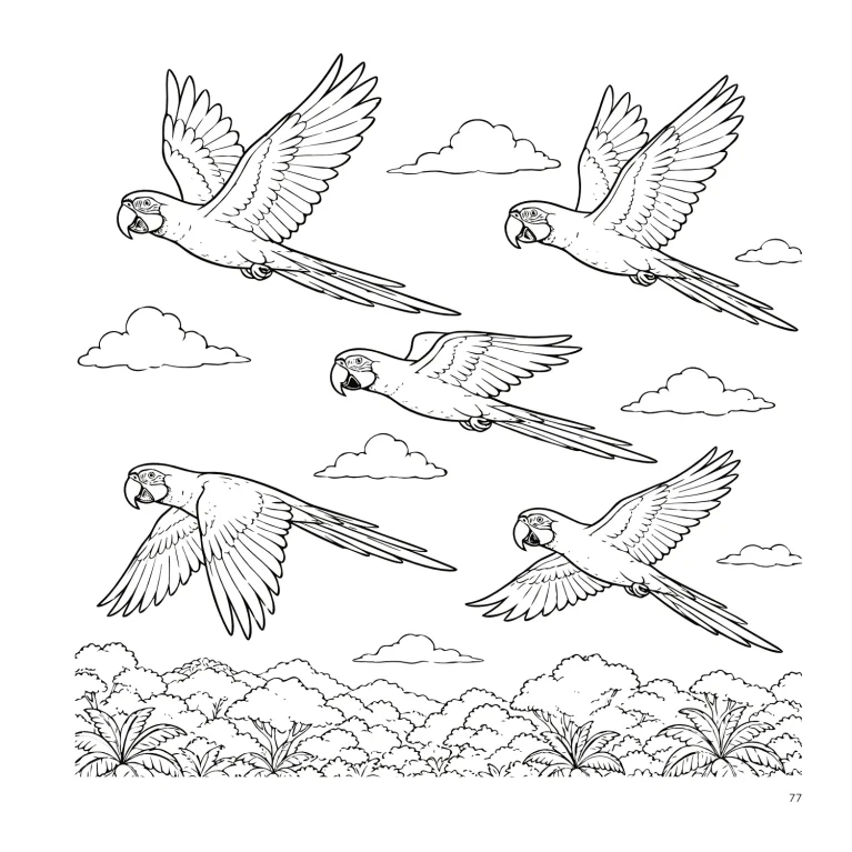 Dibujo para colorear de cinco guacamayos volando a distintas alturas sobre la selva tropical, con árboles, vegetación y nubes en el cielo.